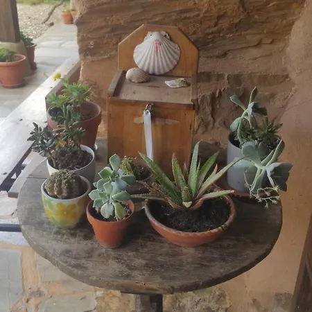 Rural Aguedas