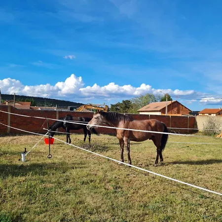 Rural Aguedas