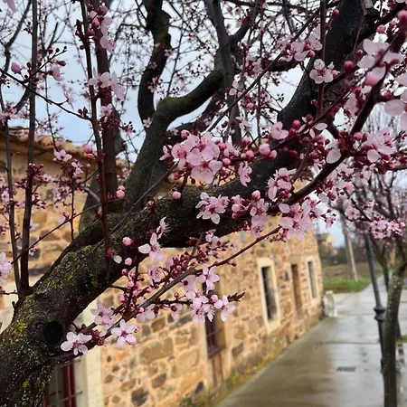 Rural Aguedas Hostel