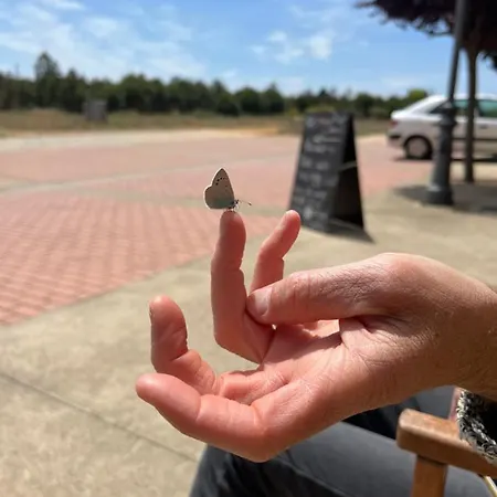 Hostel Rural Aguedas