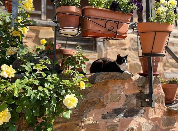 Rural Aguedas * Murias de Rechivaldo