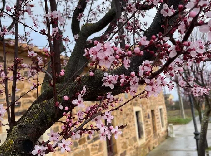 Rural Aguedas 호스텔