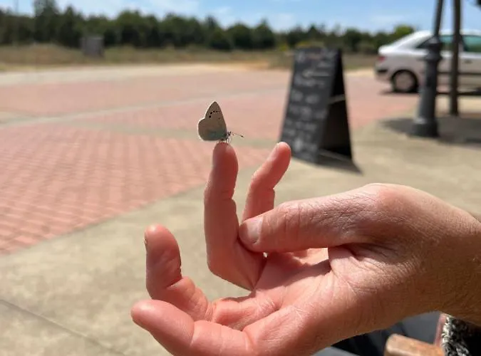 호스텔 Rural Aguedas